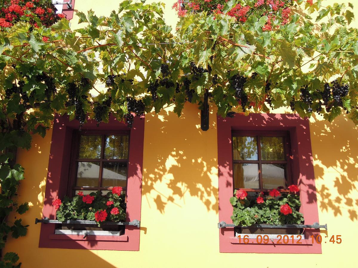 Landgasthof May Willanzheim Dış mekan fotoğraf